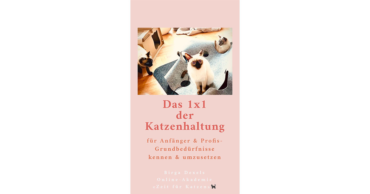 1 x 1 Katzenhaltung