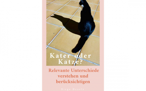 KATZEN