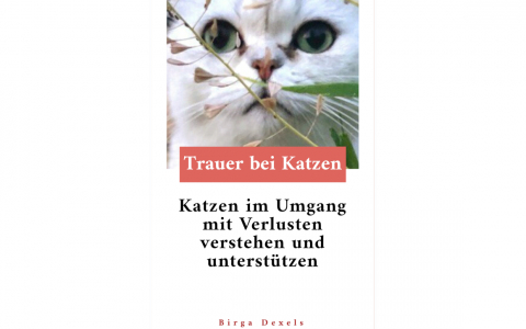 KATZEN